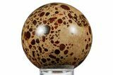 Polished Bauxite (Aluminum Ore) Sphere - Russia #354239-1